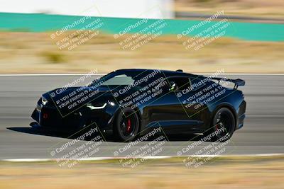 media/Mar-23-2025-West Coast Racing (Sun) [[de161b708f]]/Blue Group/Session 2 (Turn 1)/